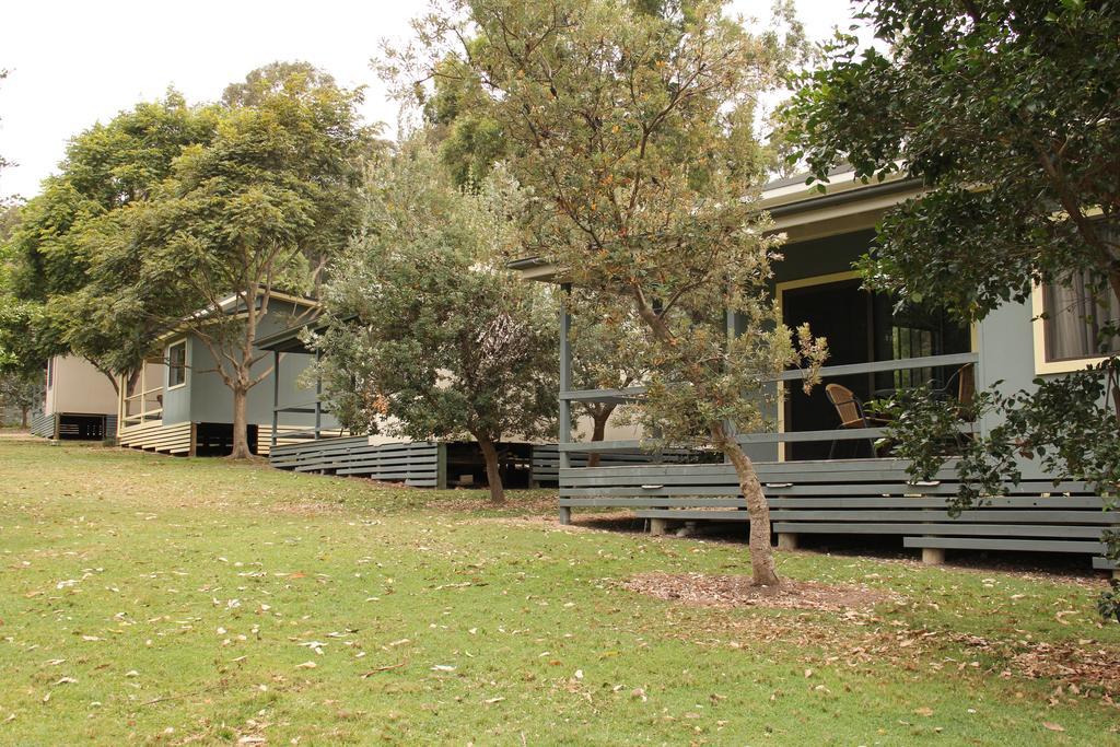 Depot Beach Cabins Villa Durras Exteriör bild